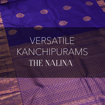 Nalina - Versatile Kanchipurams