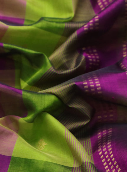 Silk cotton saree light green and purple with allover paalum pazhamum checks & zari buttas and rich zari woven border